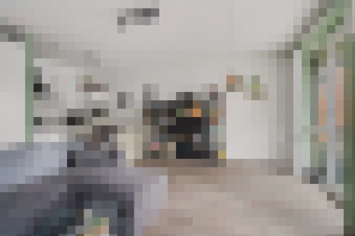 Spiegeltuin 122 's-Hertogenbosch thumbnail 5