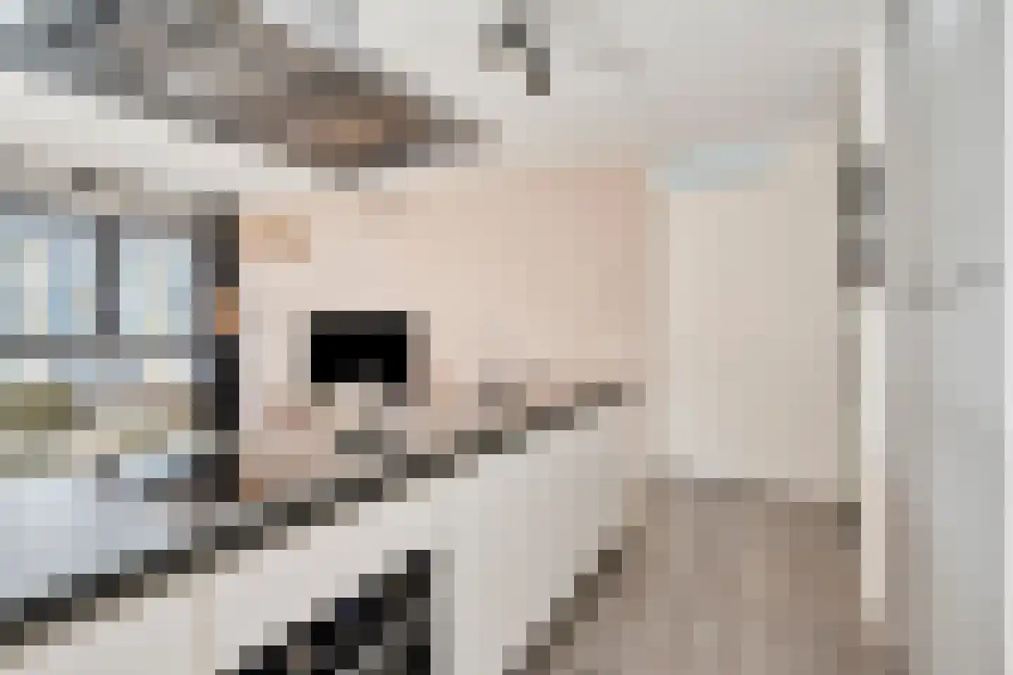 Spiegeltuin 15 's-Hertogenbosch thumbnail 11
