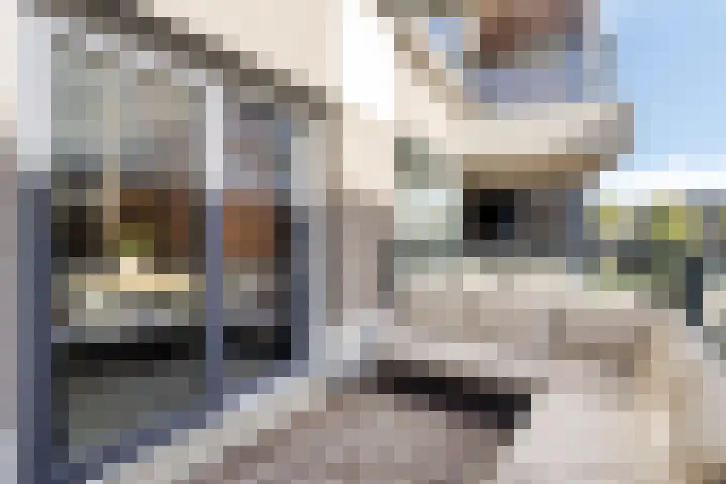 Spiegeltuin 15 's-Hertogenbosch thumbnail 7