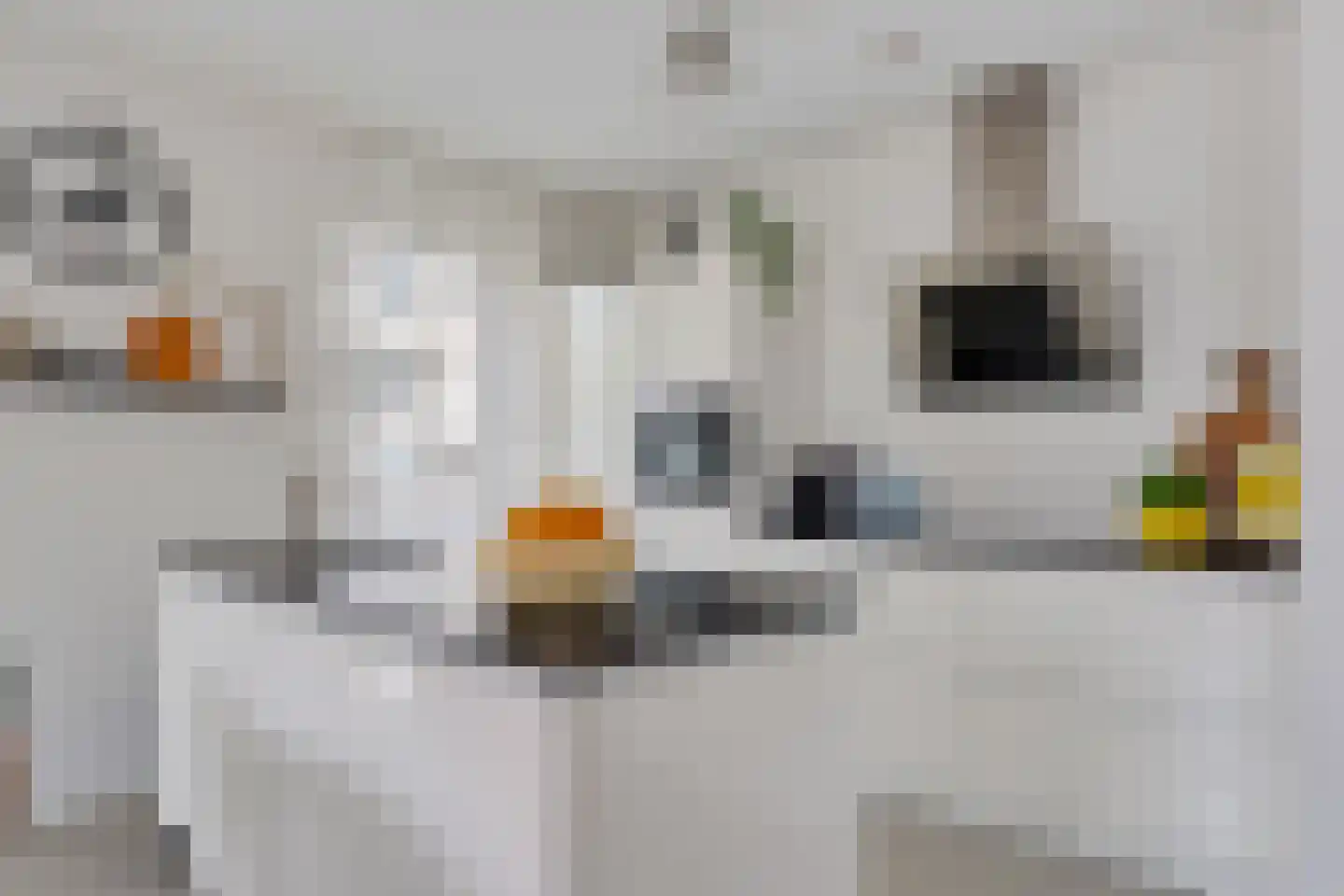 Spiegeltuin 28 's-Hertogenbosch thumbnail 13