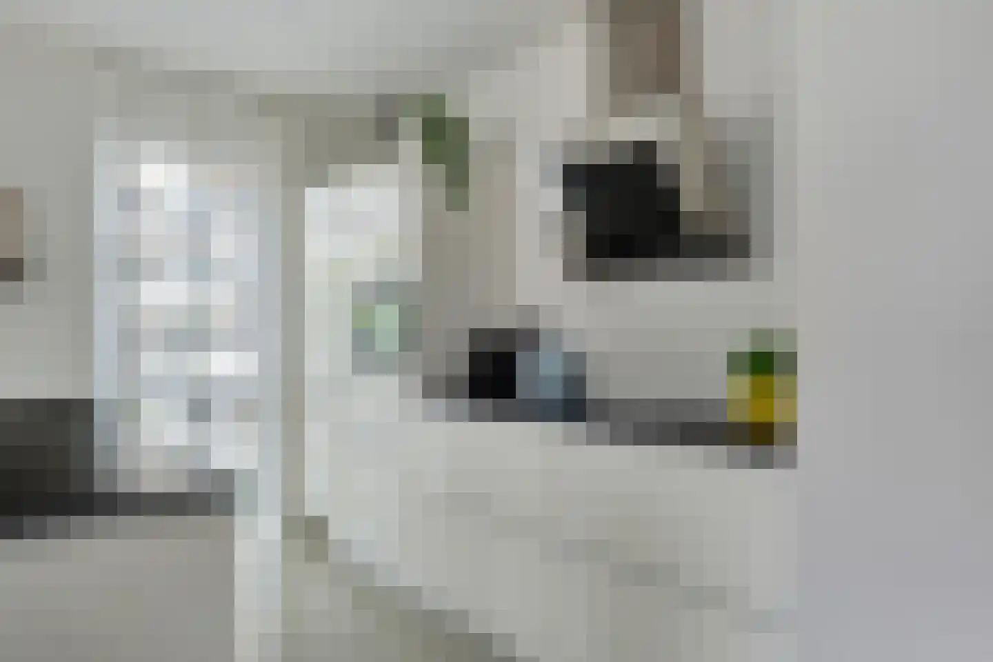 Spiegeltuin 28 's-Hertogenbosch thumbnail 14