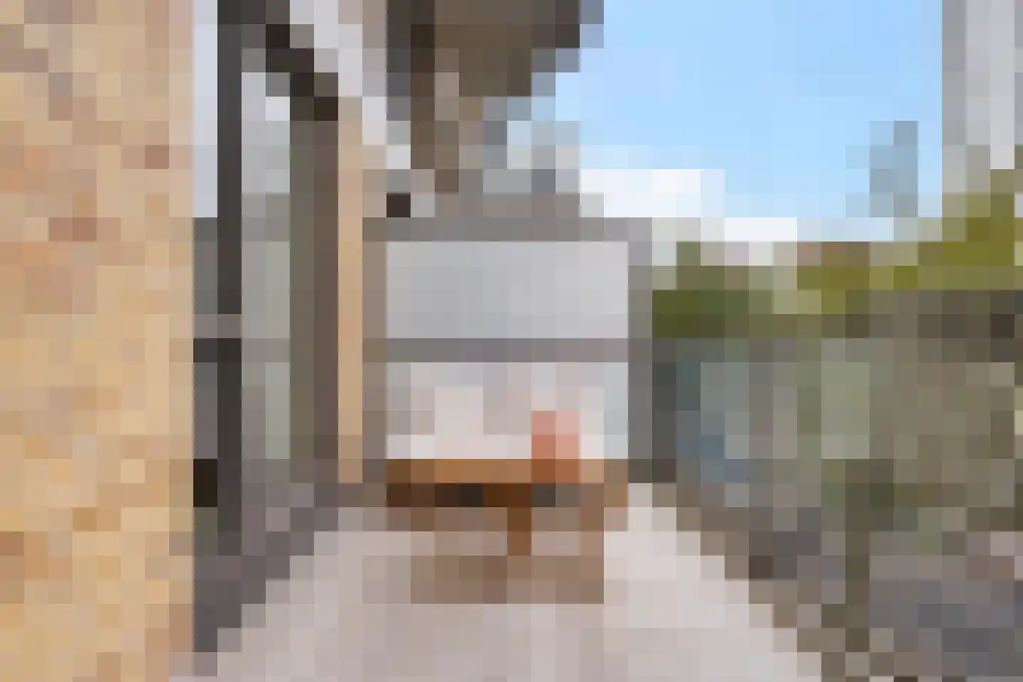 Spiegeltuin 28 's-Hertogenbosch thumbnail 16