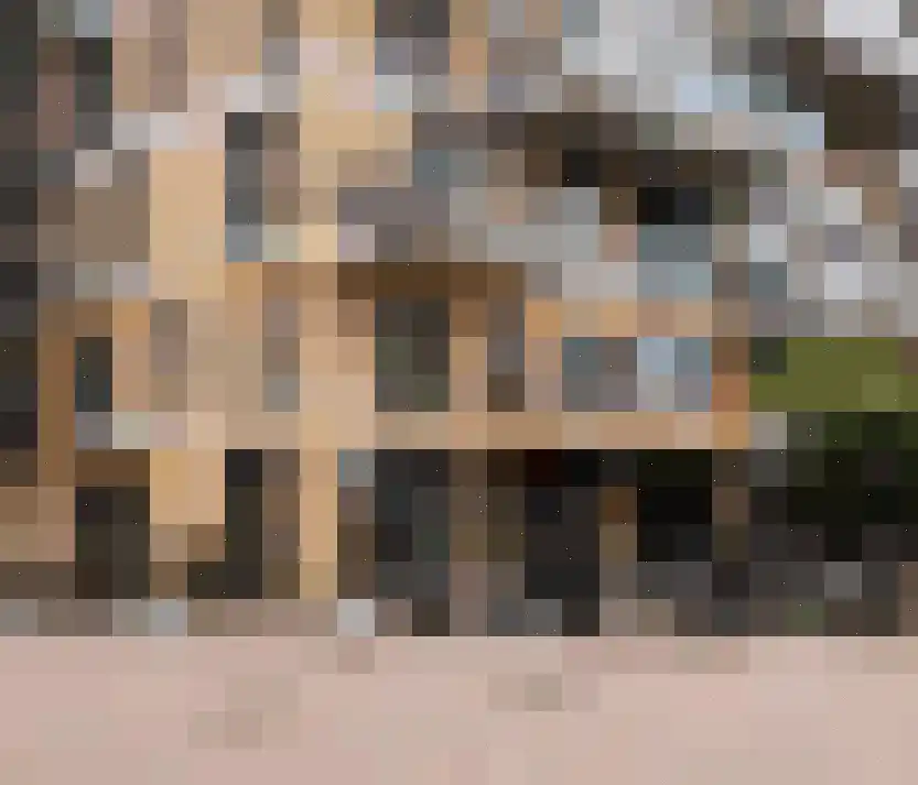 Spiegeltuin 28 's-Hertogenbosch thumbnail 6