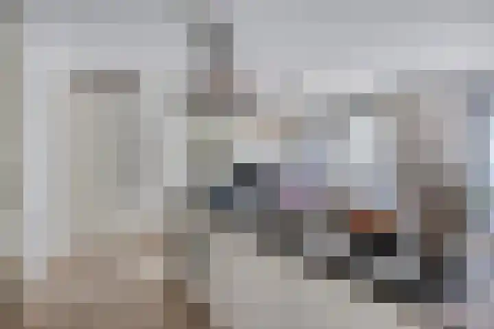 Spiegeltuin 39 's-Hertogenbosch thumbnail 12