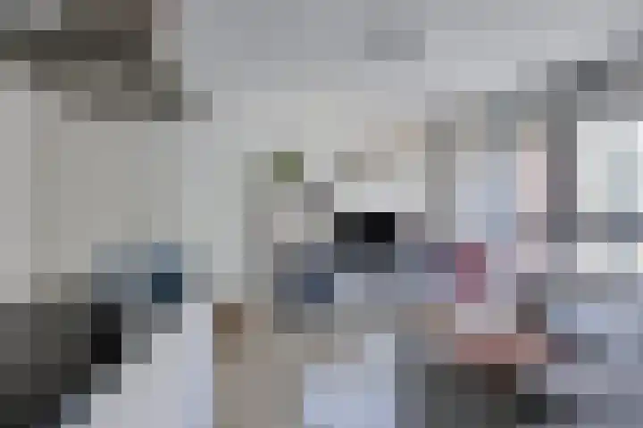 Spiegeltuin 39 's-Hertogenbosch thumbnail 14