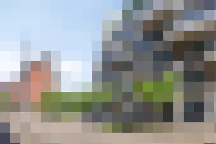 Spiegeltuin 39 's-Hertogenbosch thumbnail 29