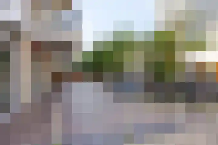 Spiegeltuin 39 's-Hertogenbosch thumbnail 31