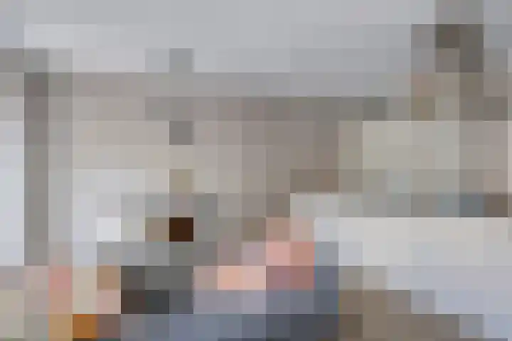 Spiegeltuin 39 's-Hertogenbosch thumbnail 4