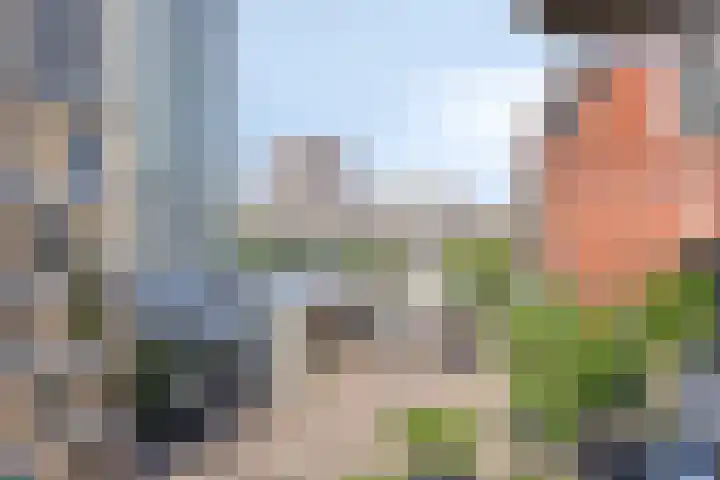 Spiegeltuin 39 's-Hertogenbosch thumbnail 9