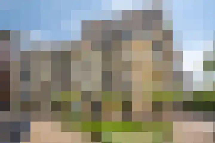 Spiegeltuin 44 's-Hertogenbosch thumbnail 17