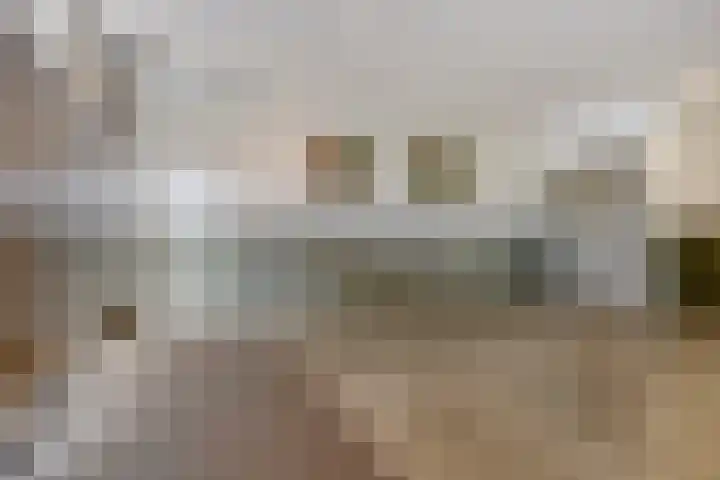 Spiegeltuin 44 's-Hertogenbosch thumbnail 18