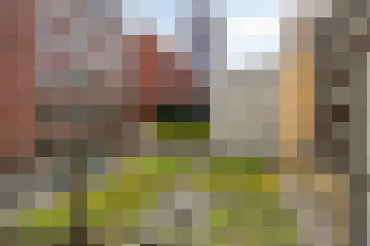 Spiegeltuin 44 's-Hertogenbosch thumbnail 20