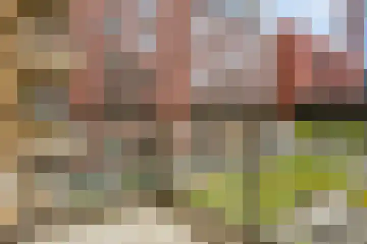 Spiegeltuin 44 's-Hertogenbosch thumbnail 22