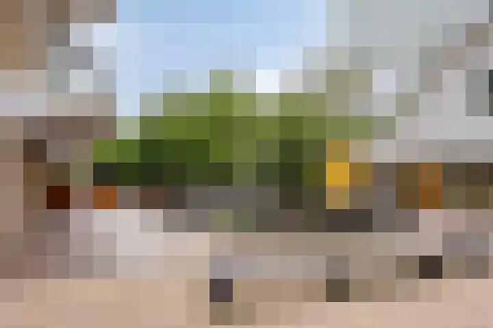 Spiegeltuin 44 's-Hertogenbosch thumbnail 25