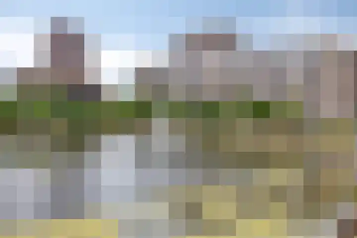 Spiegeltuin 44 's-Hertogenbosch thumbnail 26