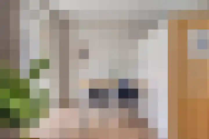 Spiegeltuin 44 's-Hertogenbosch thumbnail 4