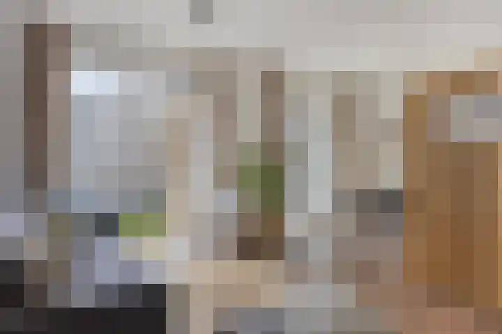 Spiegeltuin 44 's-Hertogenbosch thumbnail 5