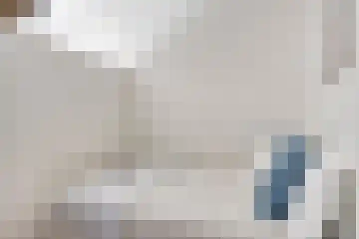 Spiegeltuin 44 's-Hertogenbosch thumbnail 9