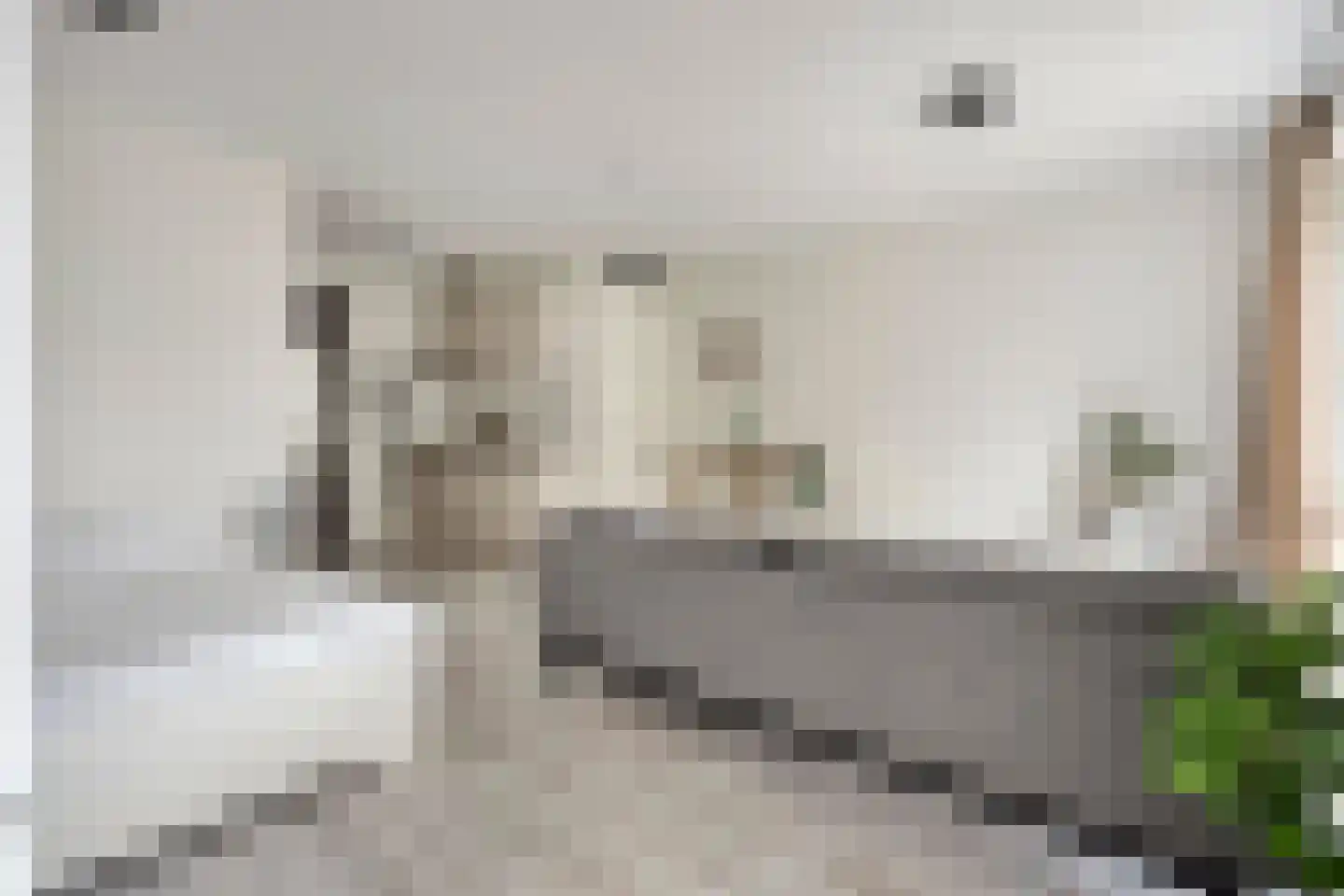 Spiegeltuin 56 's-Hertogenbosch thumbnail 14