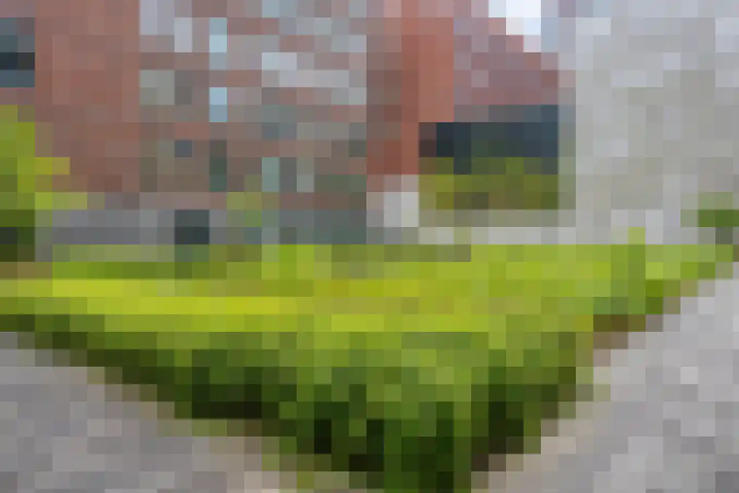 Spiegeltuin 56 's-Hertogenbosch thumbnail 23