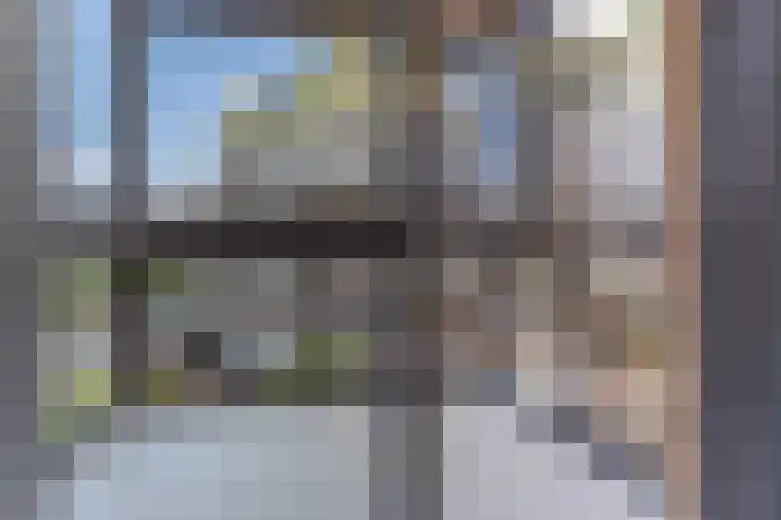 Spiegeltuin 58 's-Hertogenbosch thumbnail 11