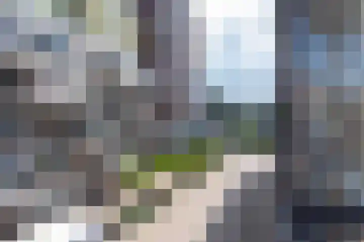 Spiegeltuin 58 's-Hertogenbosch thumbnail 13