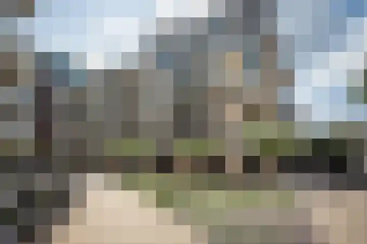 Spiegeltuin 58 's-Hertogenbosch thumbnail 26