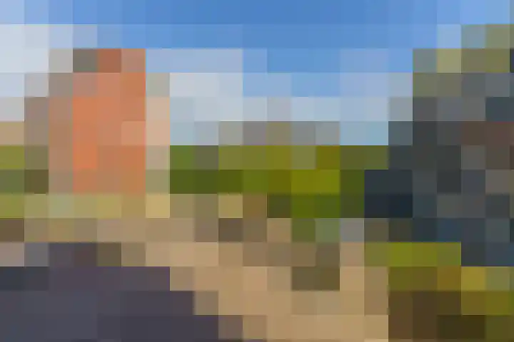 Spiegeltuin 60 's-Hertogenbosch thumbnail 28