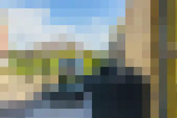 Spiegeltuin 60 's-Hertogenbosch thumbnail 31