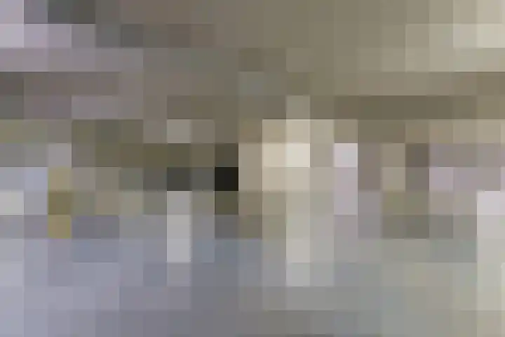 Spiegeltuin 60 's-Hertogenbosch thumbnail 35