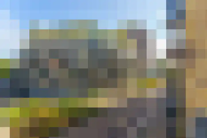 Spiegeltuin 60 's-Hertogenbosch thumbnail 37