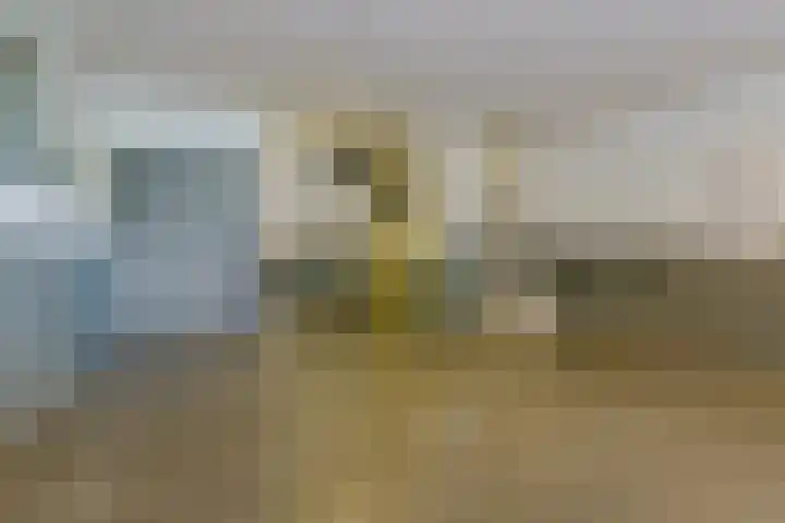 Spiegeltuin 60 's-Hertogenbosch thumbnail 6