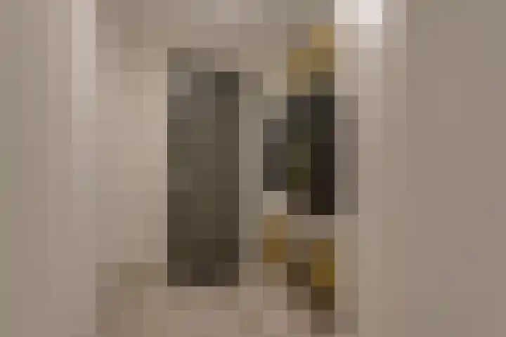 Spiegeltuin 60 's-Hertogenbosch thumbnail 8