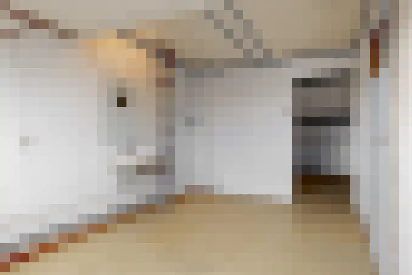 Spiegheldreef 11 Leiderdorp thumbnail 32