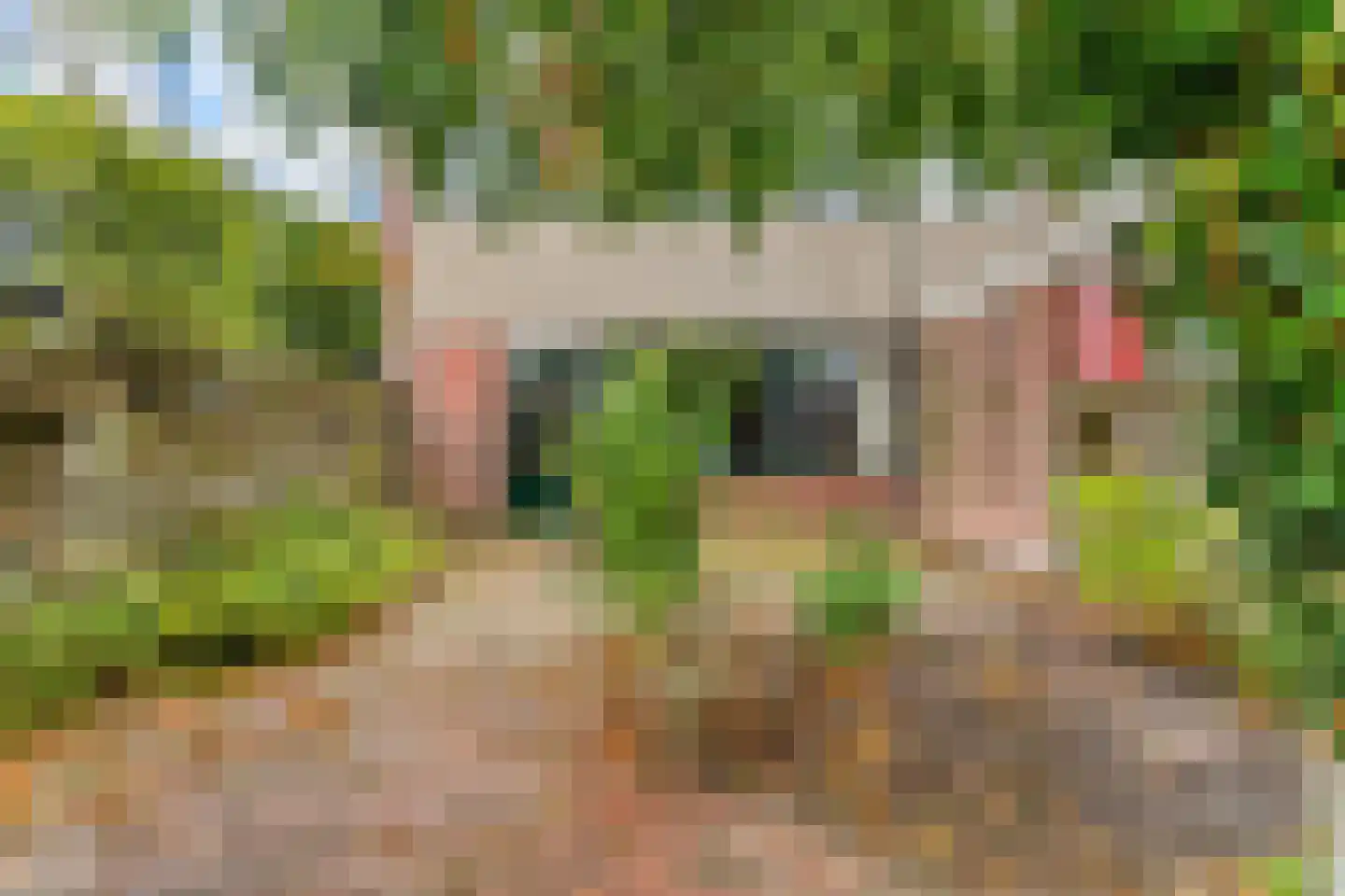 Spiegheldreef 11 Leiderdorp thumbnail 37
