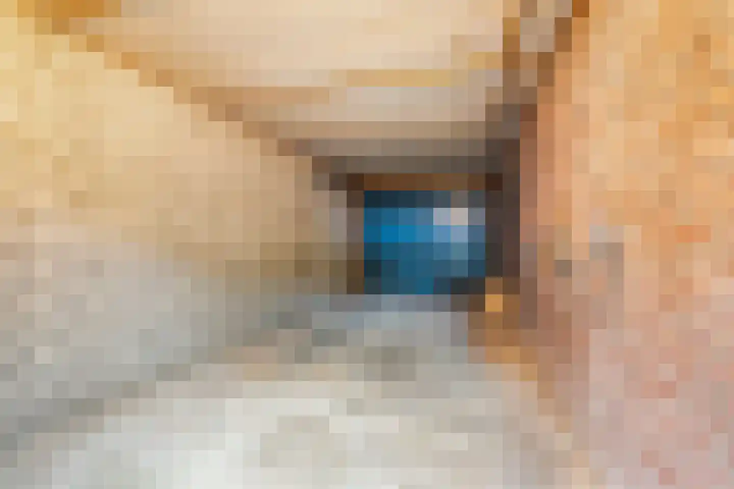 Spiegheldreef 11 Leiderdorp thumbnail 40