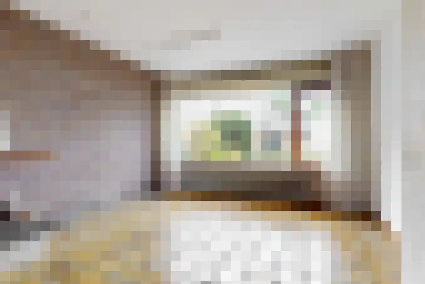 Spiegheldreef 11 Leiderdorp thumbnail 9
