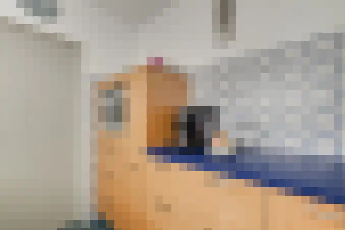 Spiegheldreef 17 Leiderdorp thumbnail 14