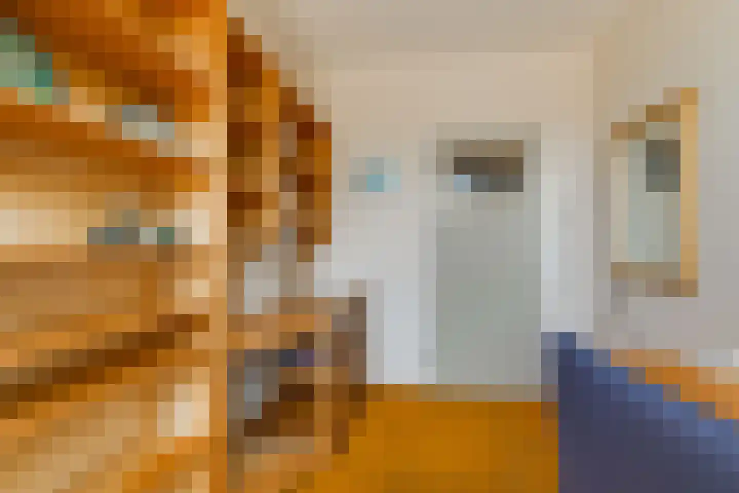 Spiegheldreef 17 Leiderdorp thumbnail 27