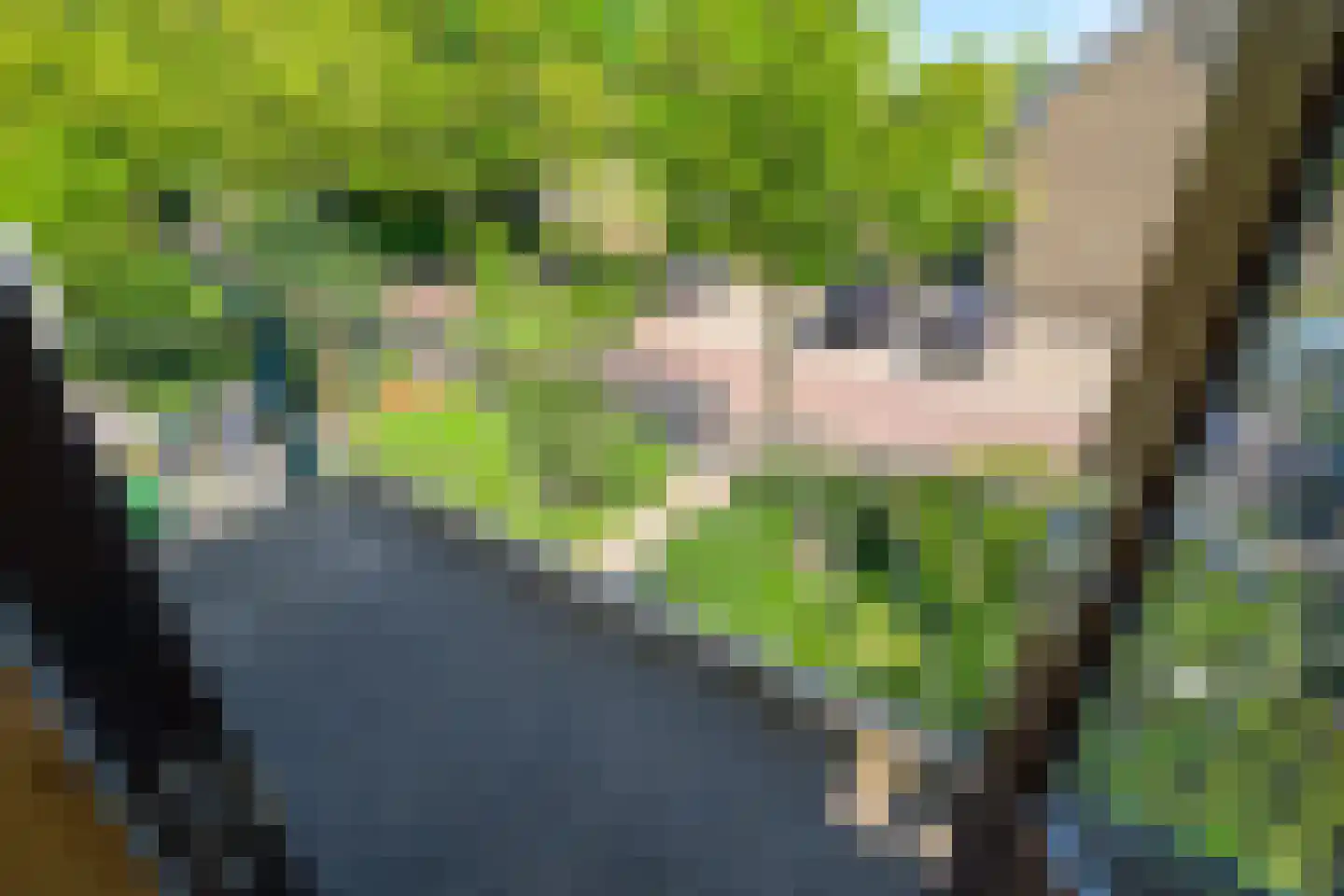 Spiegheldreef 17 Leiderdorp thumbnail 33