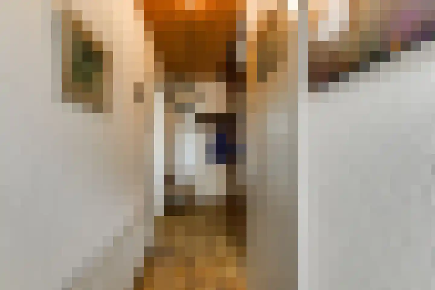 Spiegheldreef 17 Leiderdorp thumbnail 6