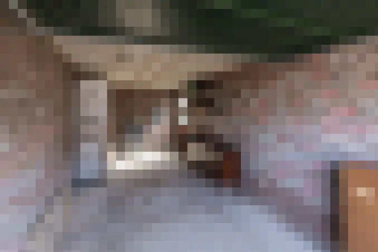 Spiegheldreef 41 Leiderdorp thumbnail 13