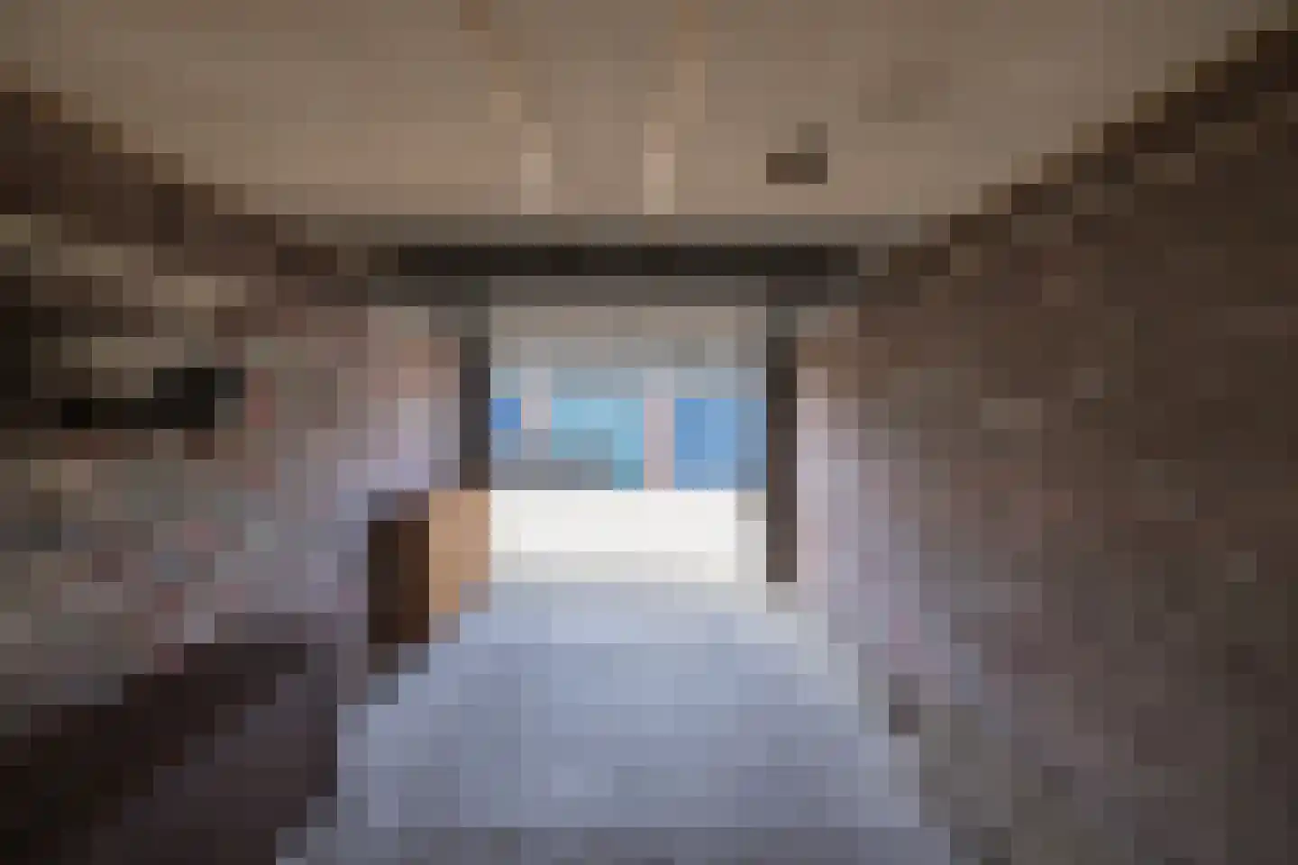 Spiegheldreef 41 Leiderdorp thumbnail 14
