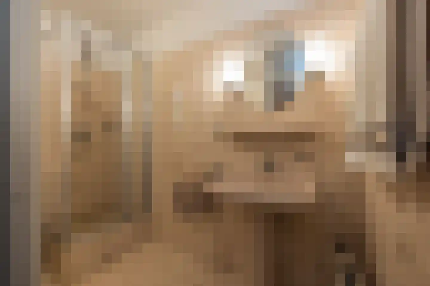 Spiegheldreef 41 Leiderdorp thumbnail 27