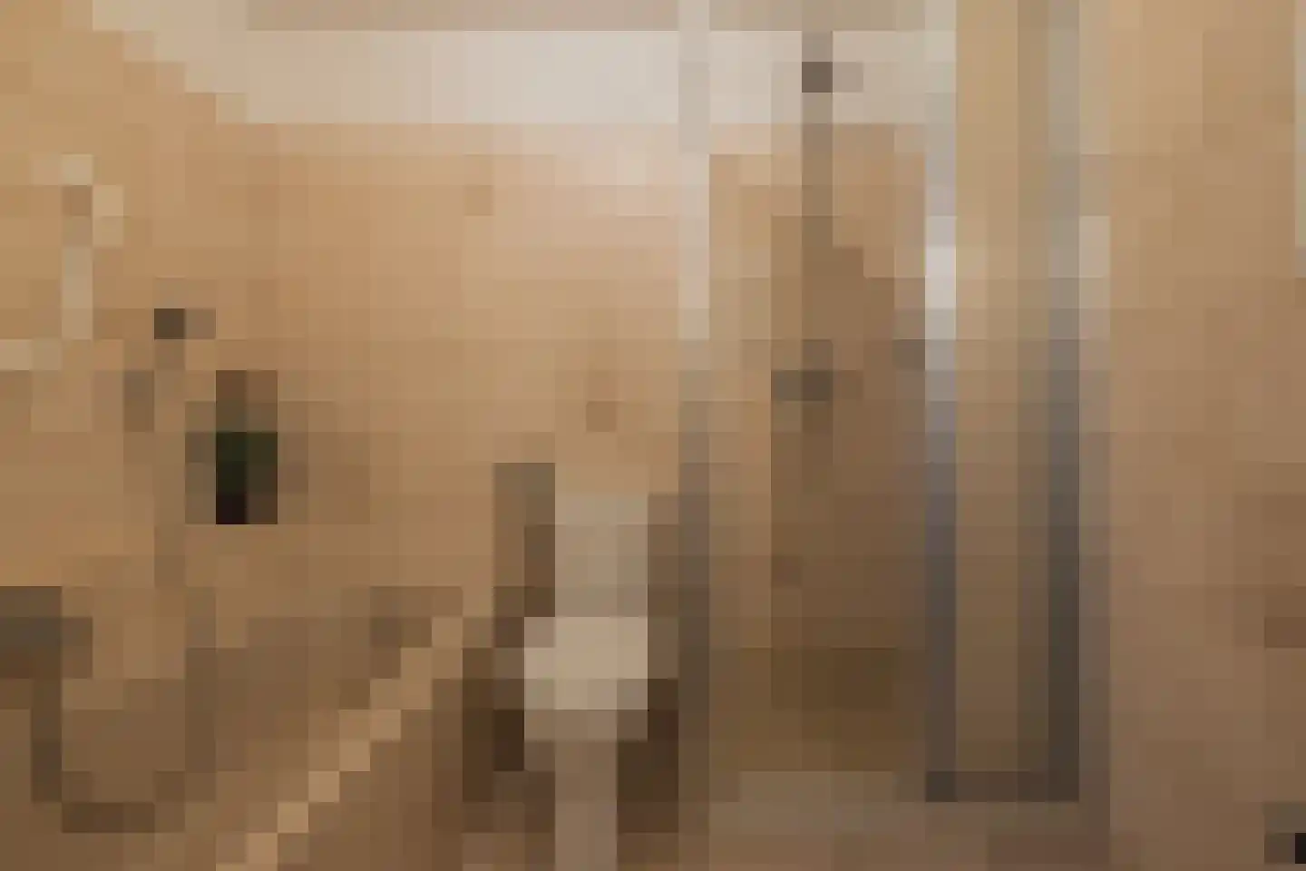 Spiegheldreef 41 Leiderdorp thumbnail 28