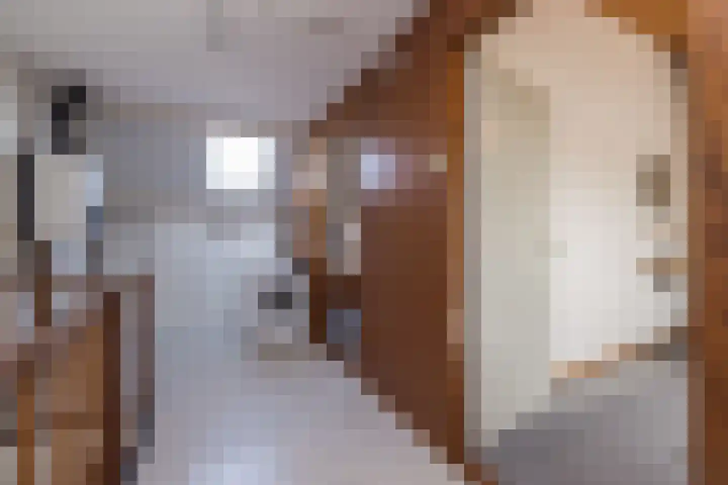 Spiegheldreef 41 Leiderdorp thumbnail 37