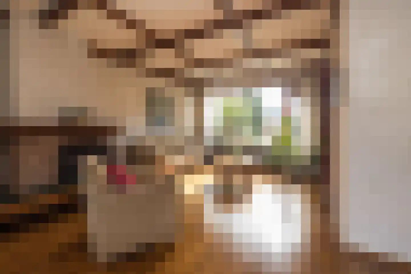 Spiegheldreef 41 Leiderdorp thumbnail 4