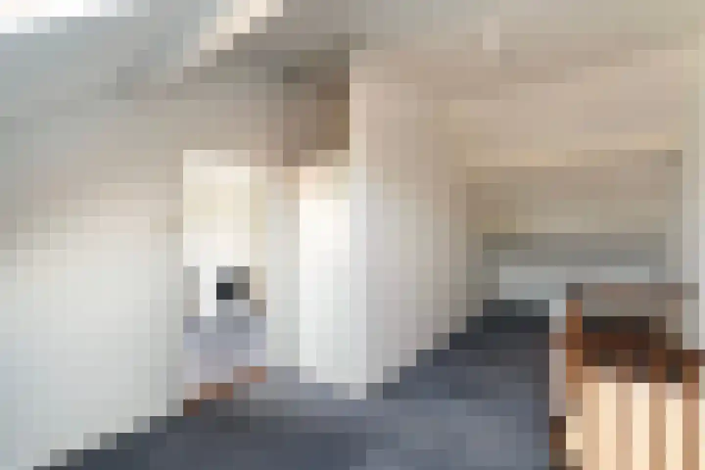 Spiegheldreef 43 Leiderdorp thumbnail 23