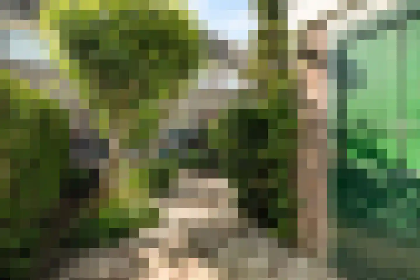 Spiegheldreef 43 Leiderdorp thumbnail 29