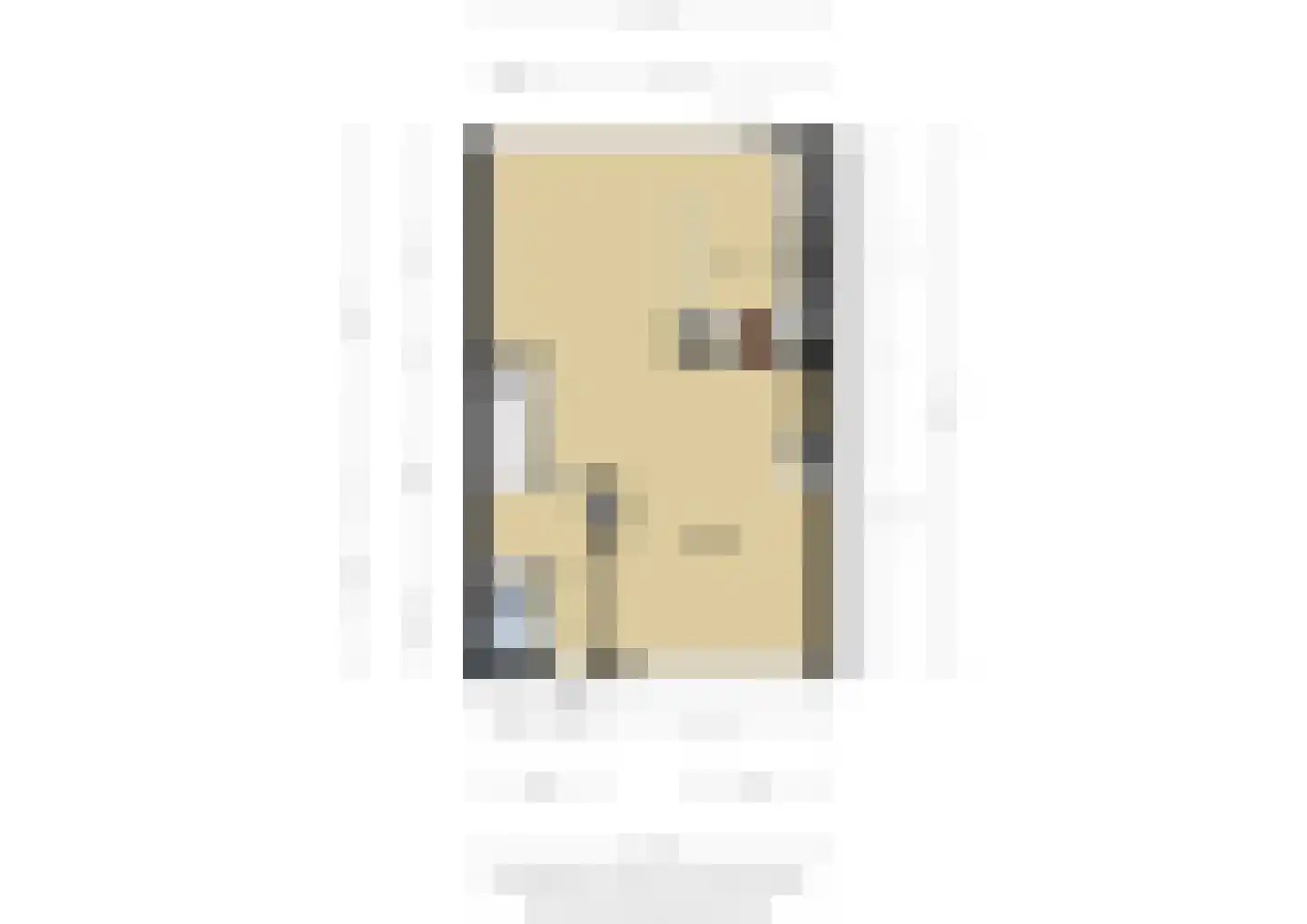 Spiegheldreef 43 Leiderdorp thumbnail 36